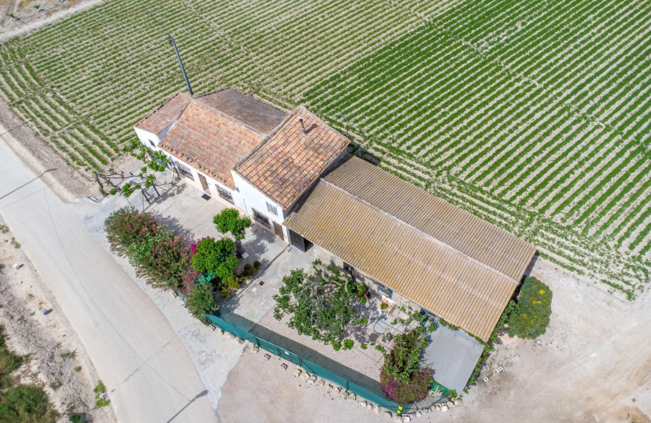 Reventa - Finca - Orihuela - Desamparados-hurchillo-torremendo