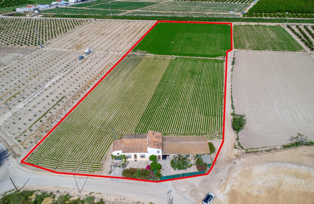 Reventa - Finca - Orihuela - Desamparados-hurchillo-torremendo