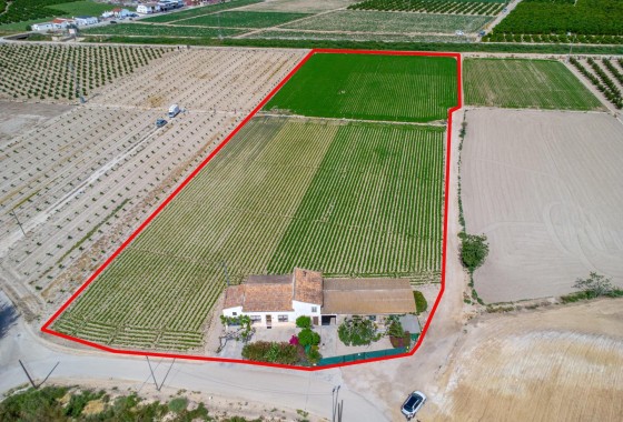 Reventa - Finca - Orihuela - Desamparados-hurchillo-torremendo