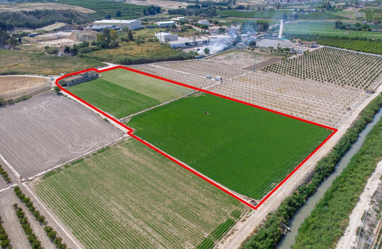 Reventa - Finca - Orihuela - Desamparados-hurchillo-torremendo