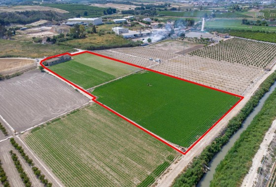 Reventa - Finca - Orihuela - Desamparados-hurchillo-torremendo
