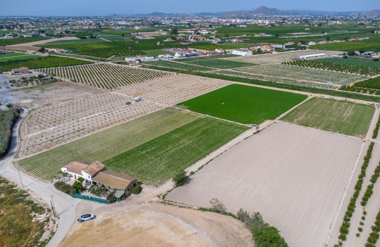 Reventa - Finca - Orihuela - Desamparados-hurchillo-torremendo