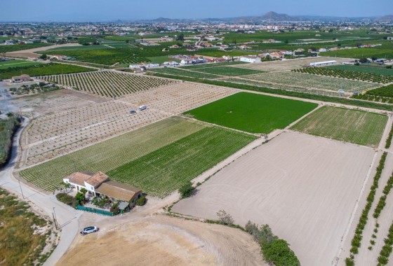 Reventa - Finca - Orihuela - Desamparados-hurchillo-torremendo