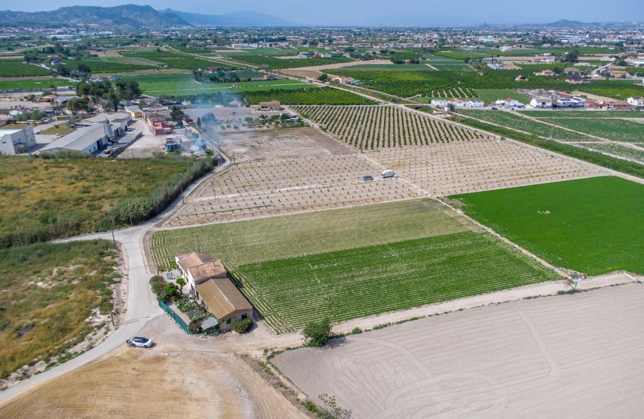 Reventa - Finca - Orihuela - Desamparados-hurchillo-torremendo