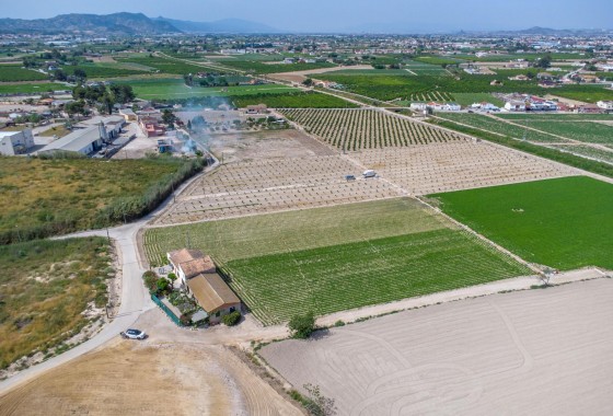 Reventa - Finca - Orihuela - Desamparados-hurchillo-torremendo