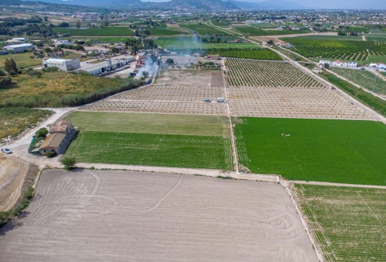 Reventa - Finca - Orihuela - Desamparados-hurchillo-torremendo