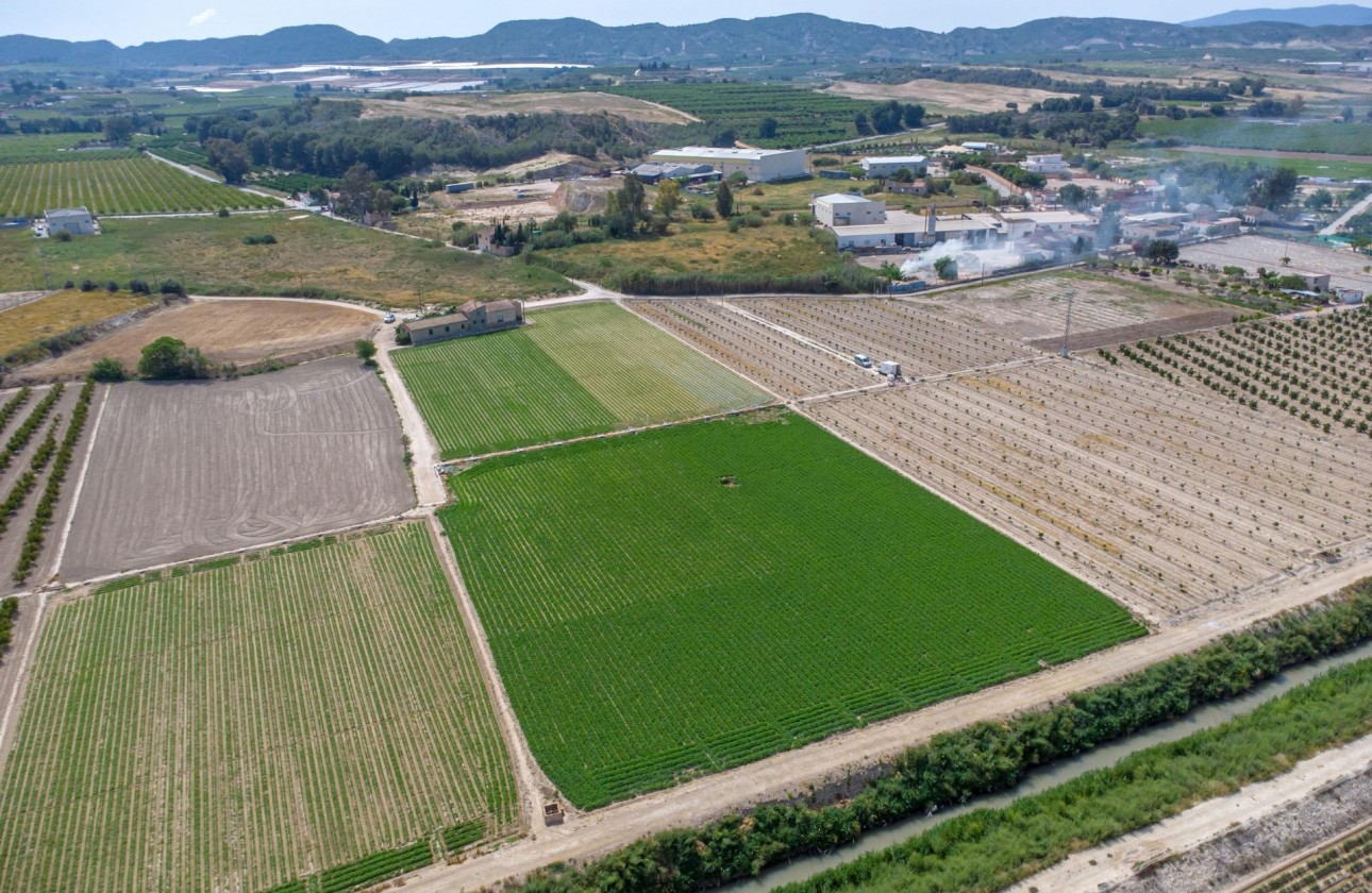 Reventa - Finca - Orihuela - Desamparados-hurchillo-torremendo