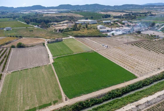 Reventa - Finca - Orihuela - Desamparados-hurchillo-torremendo