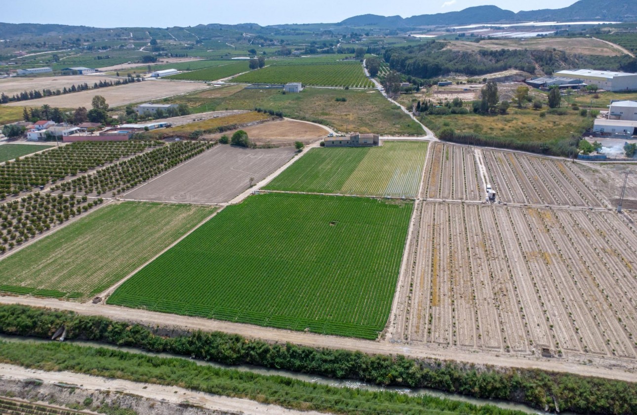 Reventa - Finca - Orihuela - Desamparados-hurchillo-torremendo