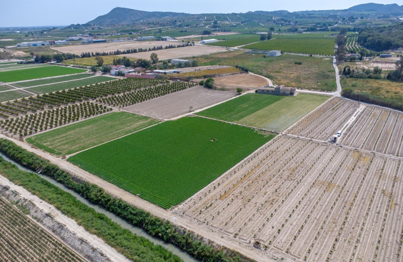 Reventa - Finca - Orihuela - Desamparados-hurchillo-torremendo