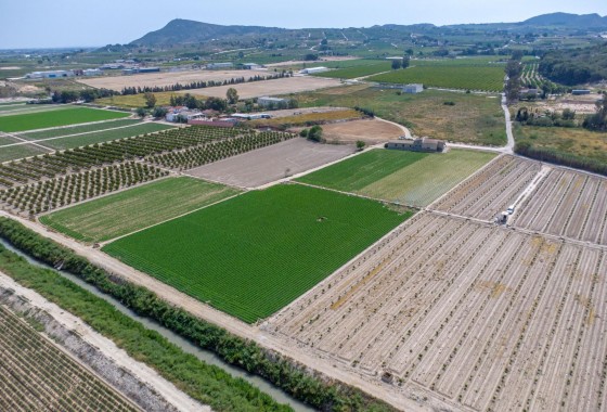 Reventa - Finca - Orihuela - Desamparados-hurchillo-torremendo