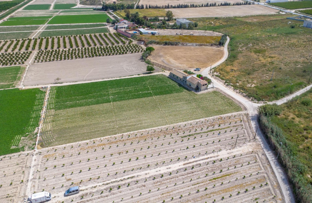 Reventa - Finca - Orihuela - Desamparados-hurchillo-torremendo