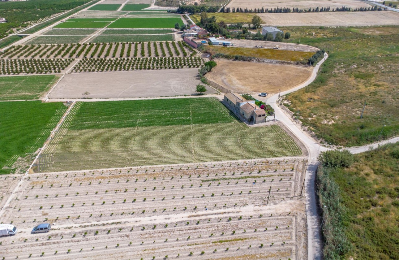 Reventa - Finca - Orihuela - Desamparados-hurchillo-torremendo