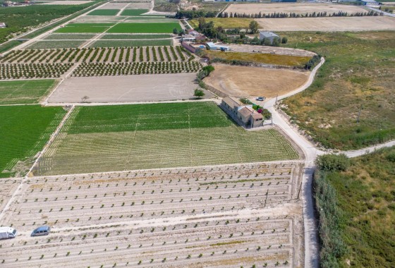 Reventa - Finca - Orihuela - Desamparados-hurchillo-torremendo