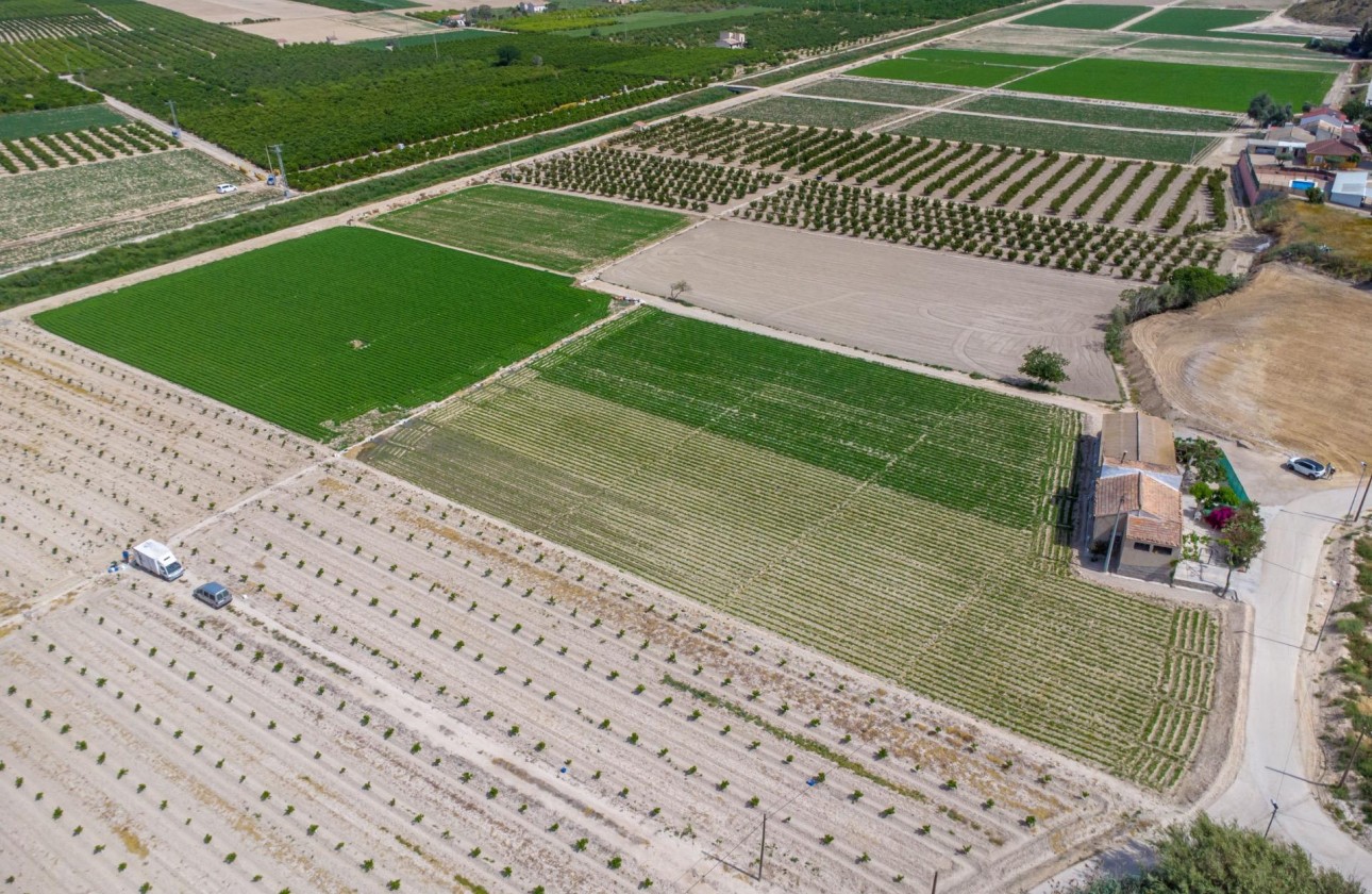 Reventa - Finca - Orihuela - Desamparados-hurchillo-torremendo