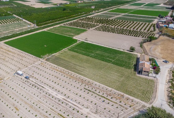 Reventa - Finca - Orihuela - Desamparados-hurchillo-torremendo