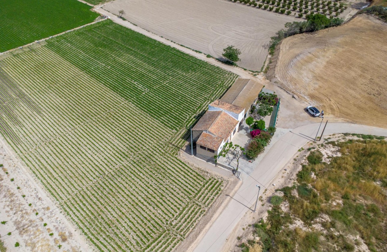 Reventa - Finca - Orihuela - Desamparados-hurchillo-torremendo