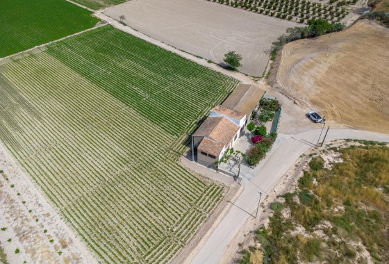 Reventa - Finca - Orihuela - Desamparados-hurchillo-torremendo