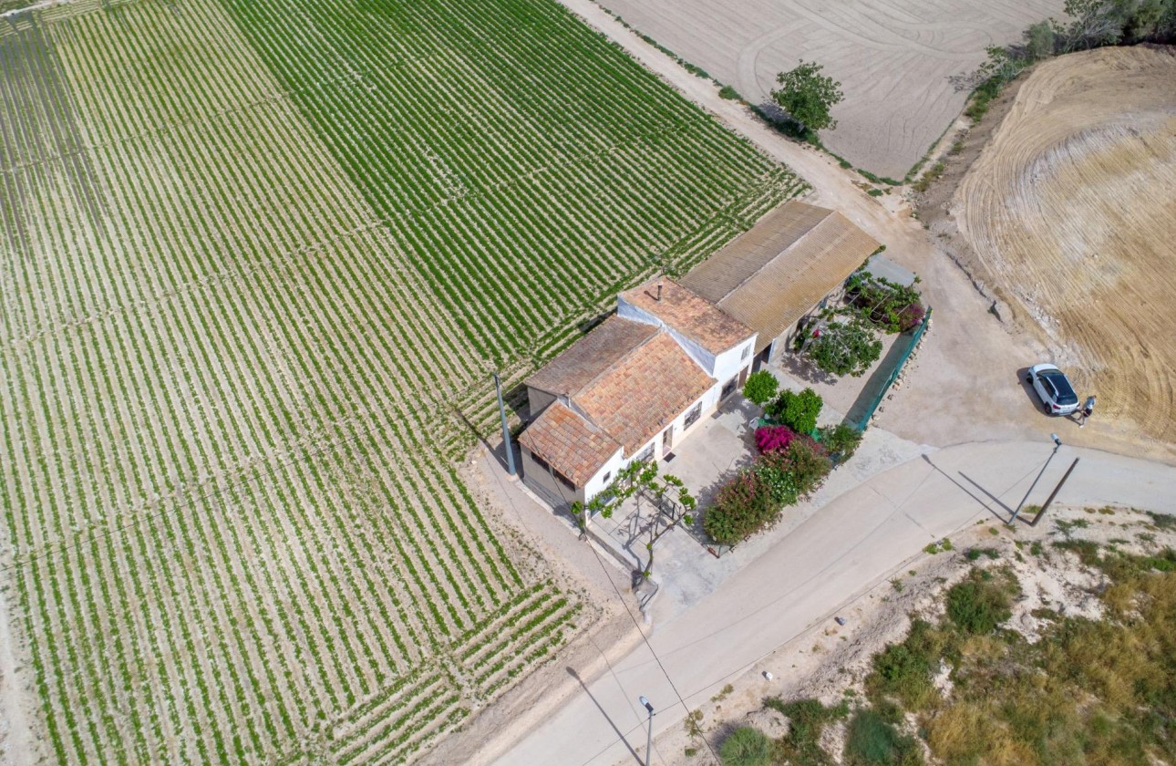 Reventa - Finca - Orihuela - Desamparados-hurchillo-torremendo