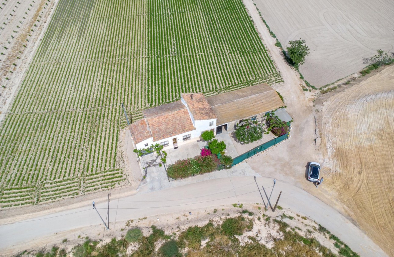 Reventa - Finca - Orihuela - Desamparados-hurchillo-torremendo