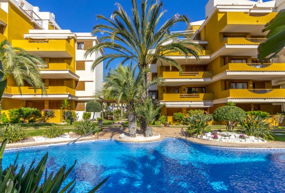Revente - Appartement - Torrevieja - Costa Blanca