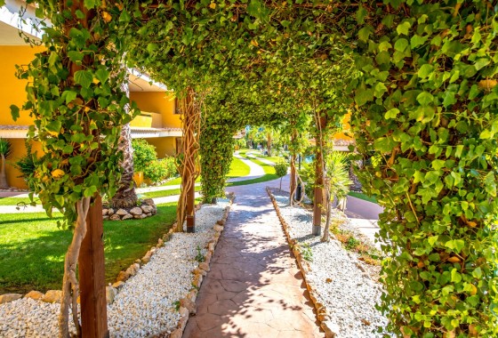 Revente - Appartement - Torrevieja - Costa Blanca