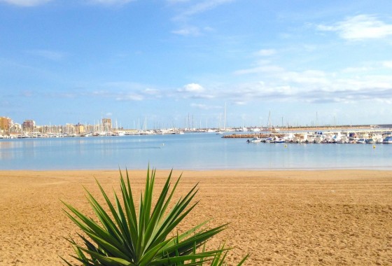 Reventa - Apartamento / piso - Torrevieja - El Acequión - Los Náufragos