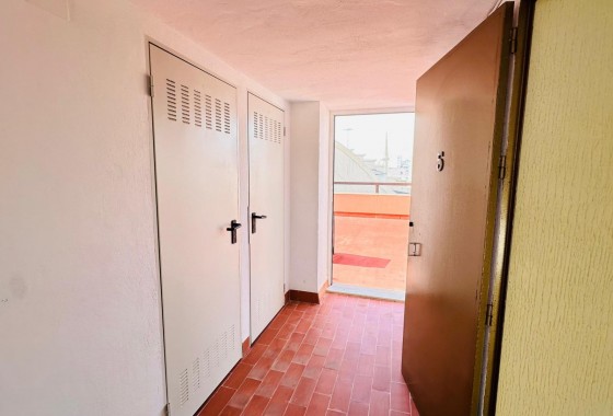 Reventa - Apartamento / piso - Torrevieja - Centro