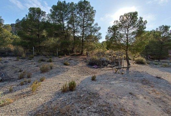Revente - Villa - Yecla - Inland