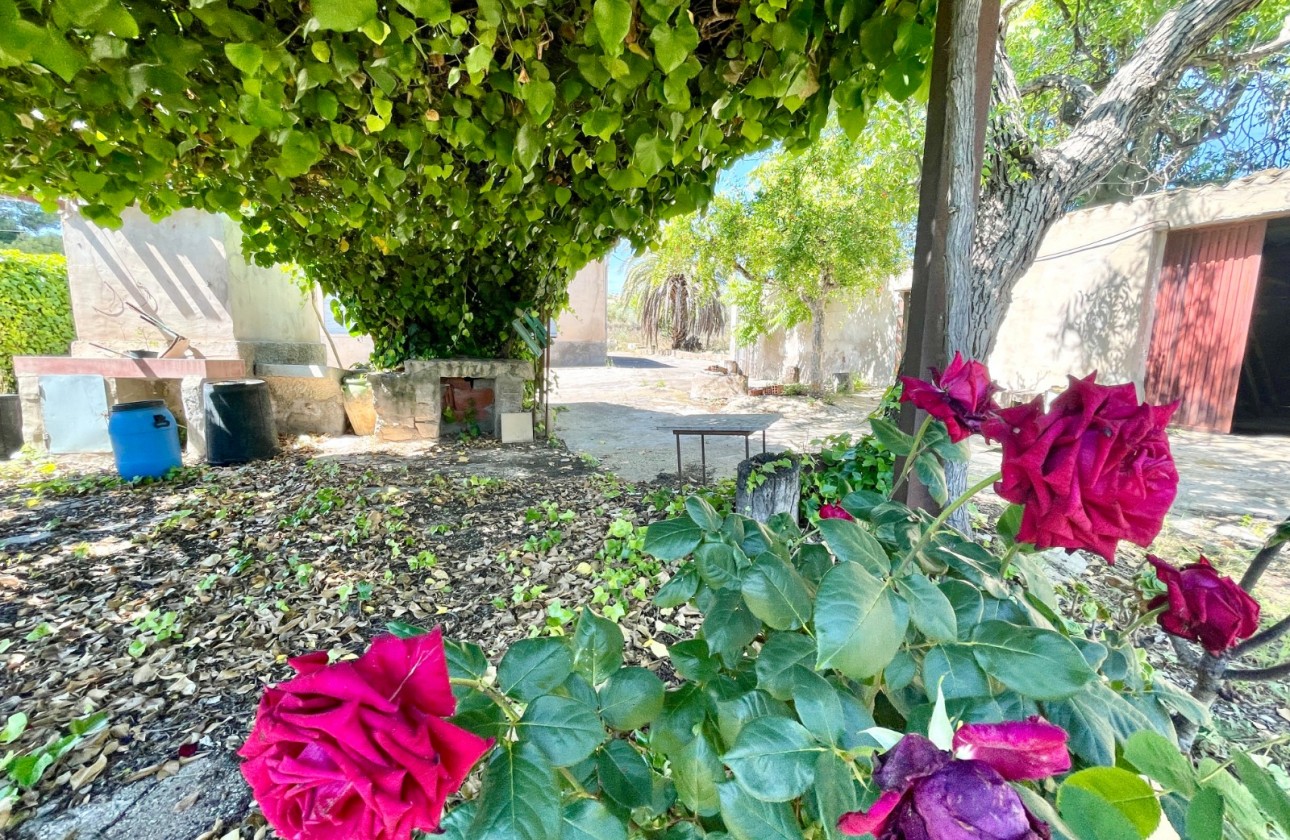 Revente - Villa - La Romana - Inland