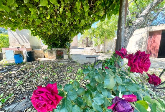 Revente - Villa - La Romana - Inland