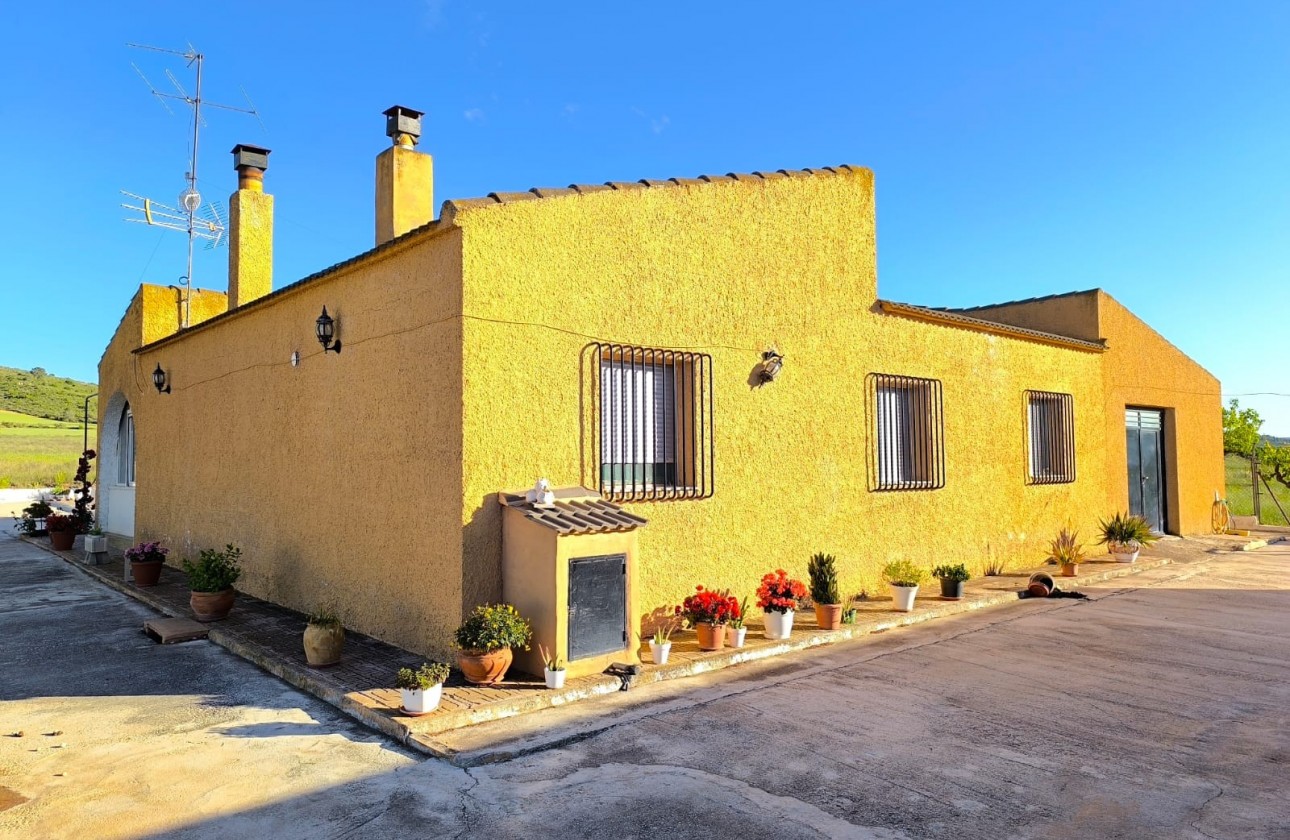 Revente - Property - Yecla - Inland