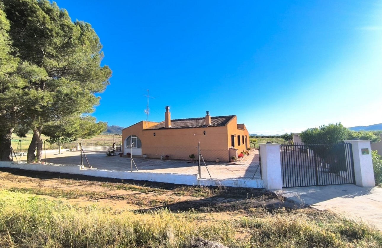 Revente - Property - Yecla - Inland