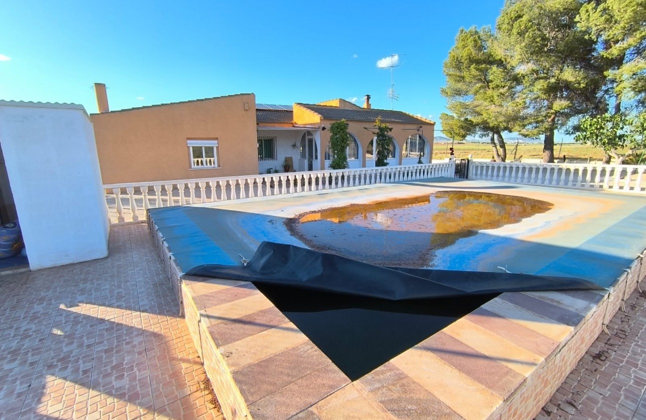 Revente - Property - Yecla - Inland
