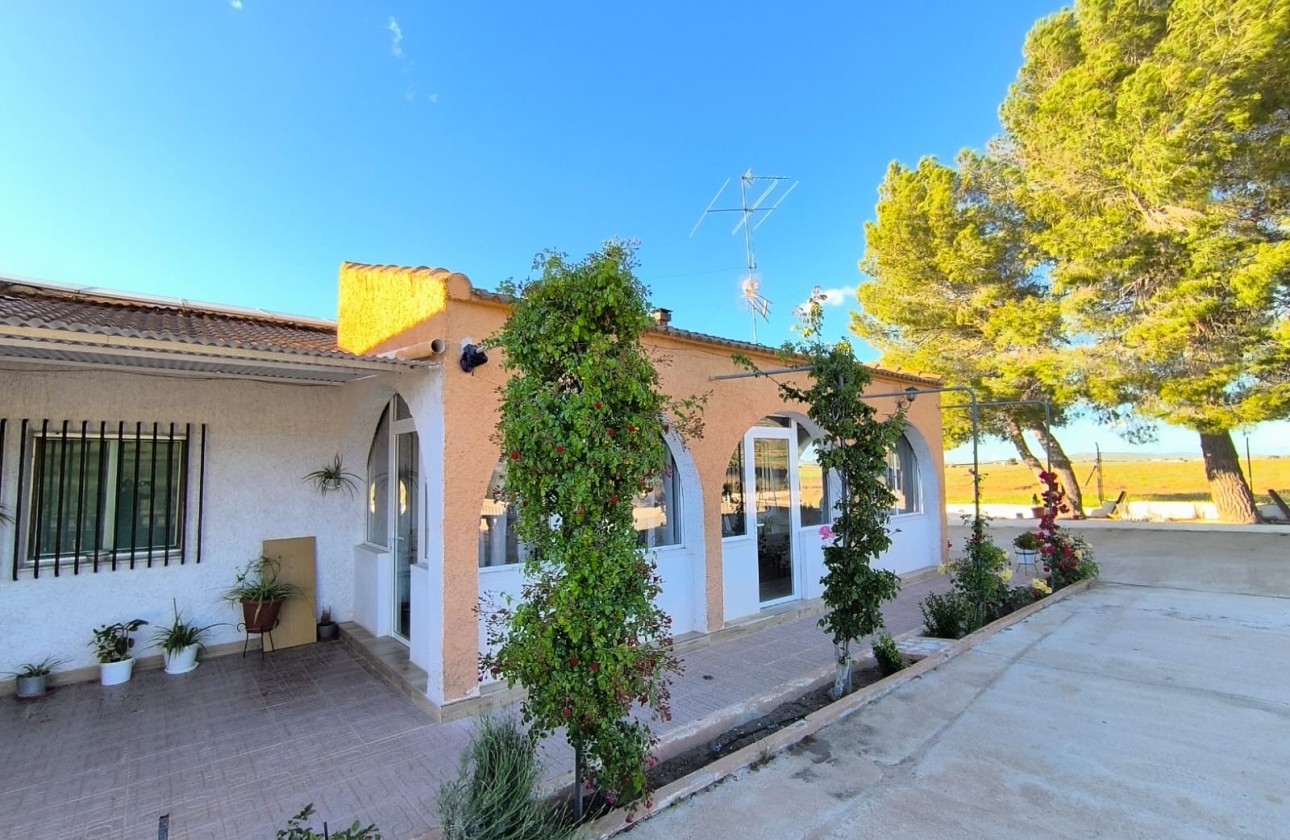 Revente - Property - Yecla - Inland