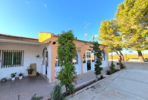 Revente - Property - Yecla - Inland