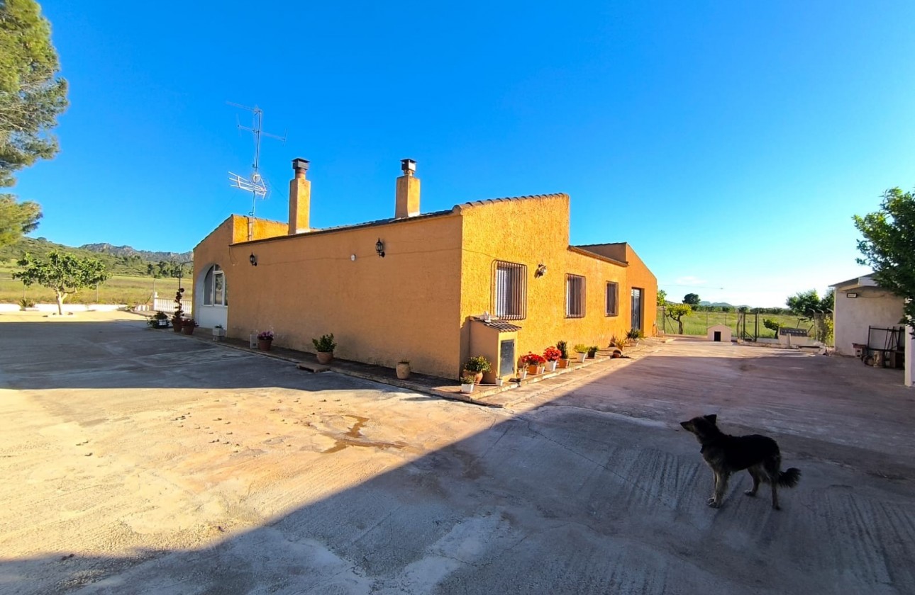 Revente - Property - Yecla - Inland