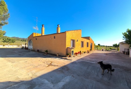 Revente - Property - Yecla - Inland
