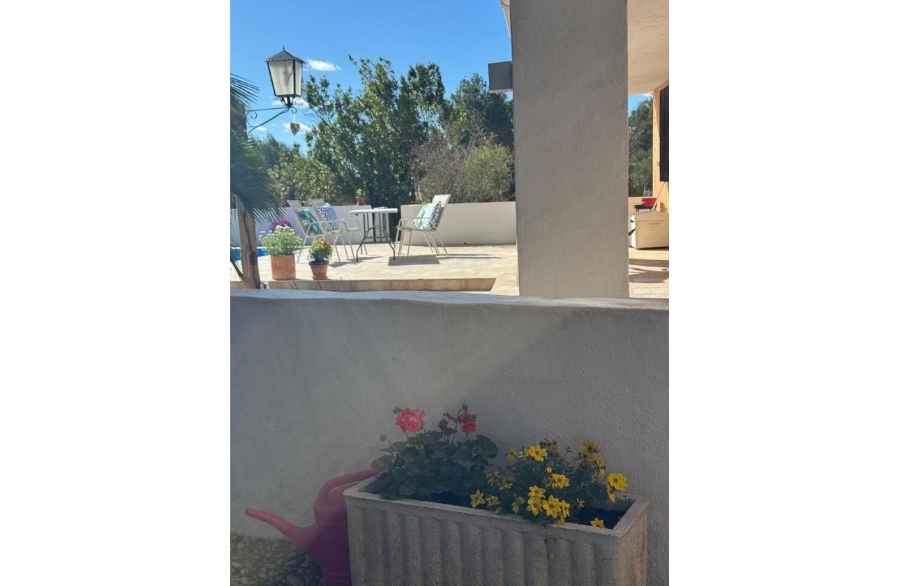 Revente - Finca - Aledo - Other