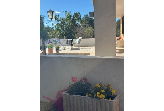 Revente - Finca - Aledo - Other