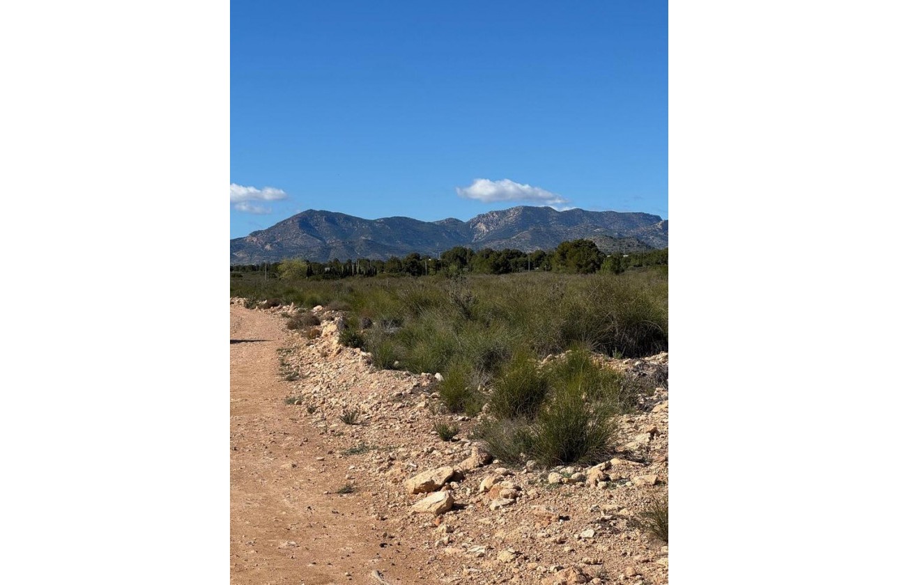 Revente - Finca - Aledo - Other