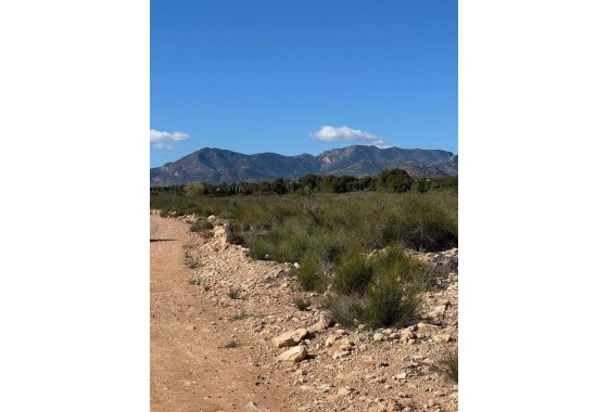 Revente - Finca - Aledo - Other