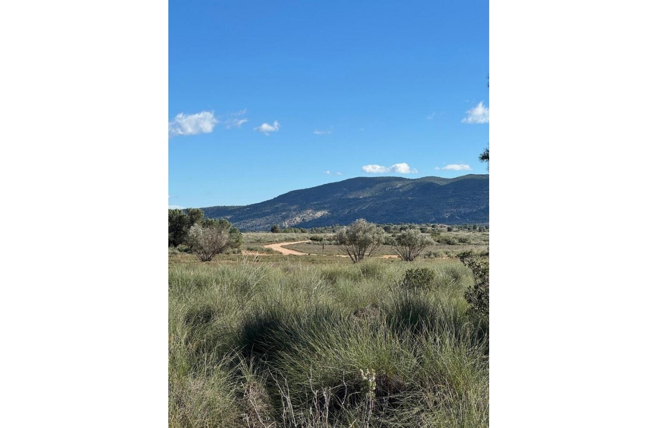 Revente - Finca - Aledo - Other