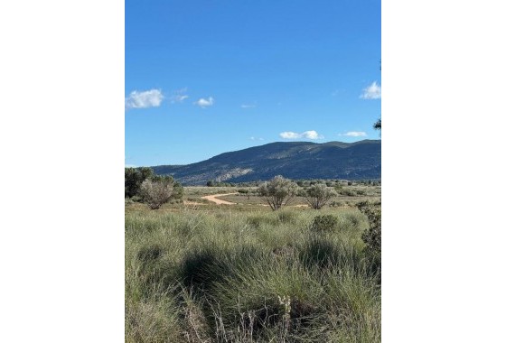 Revente - Finca - Aledo - Other