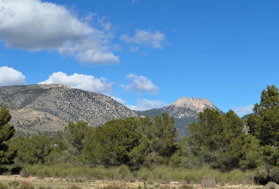 Revente - Finca - Aledo - Other