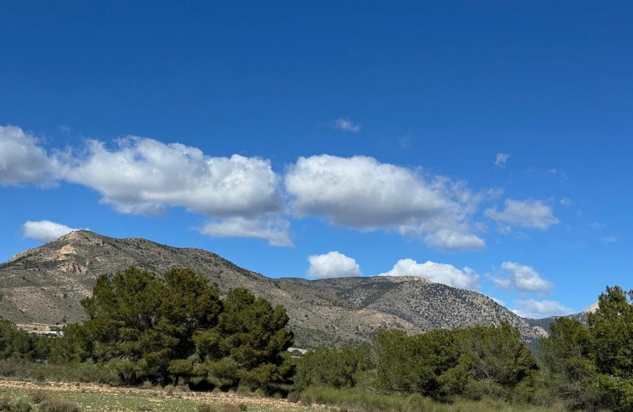 Revente - Finca - Aledo - Other