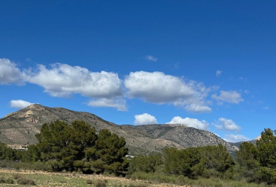 Revente - Finca - Aledo - Other