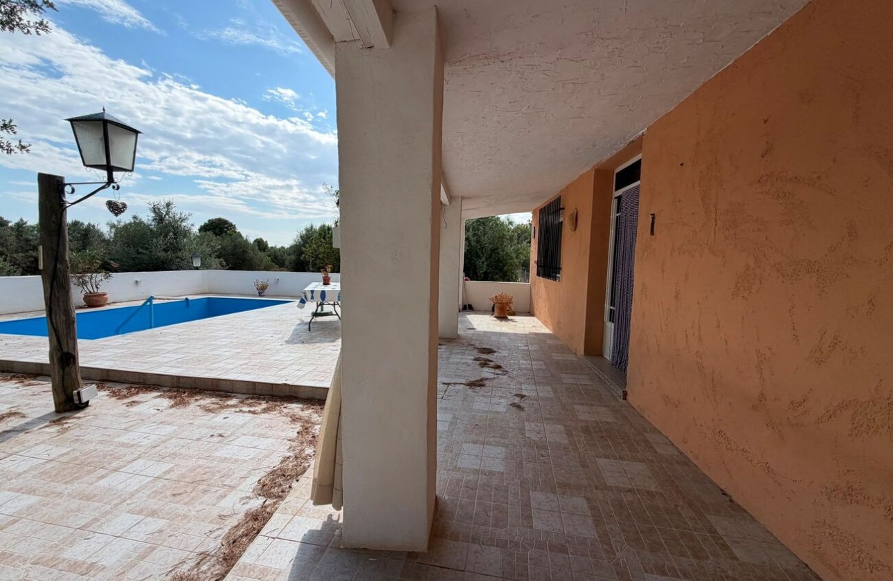 Revente - Finca - Aledo - Other