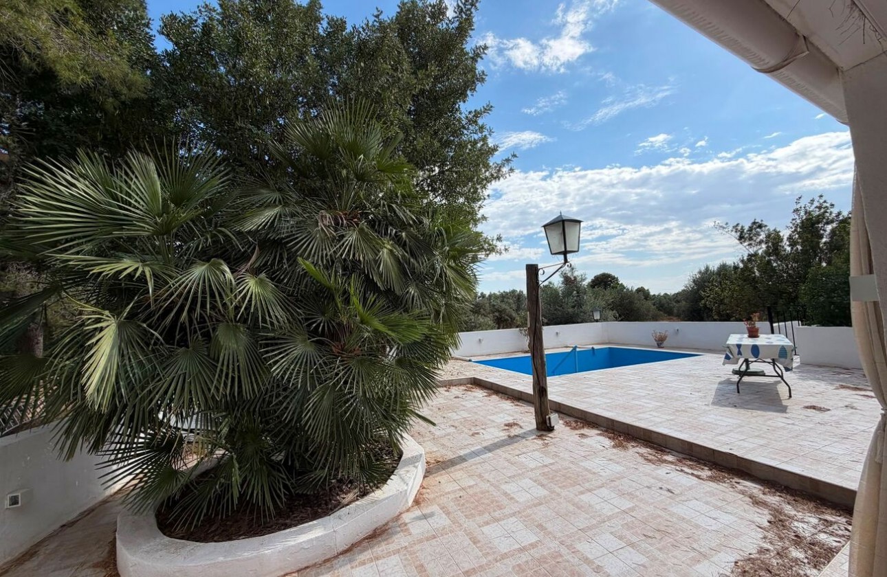 Revente - Finca - Aledo - Other