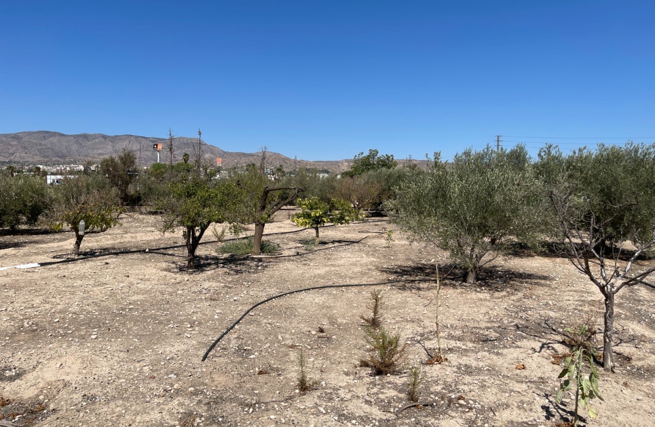 Reventa - Chalet - Crevillent - Inland